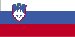 slovenian Missouri - ステート名（ブランチ） (ページ 1)